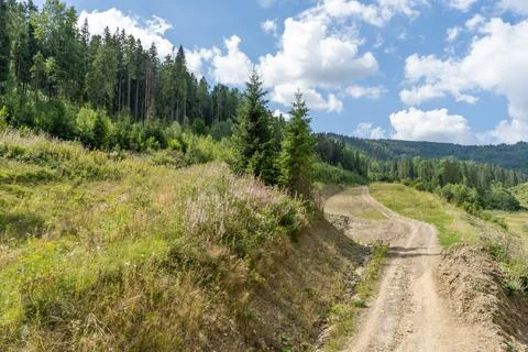 Dirt road in the forest Stock Photos