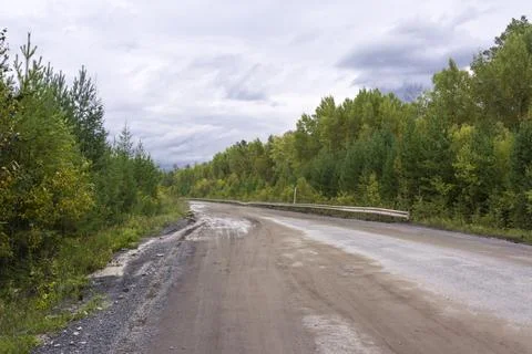 Dirt road in the forest Stock Photos