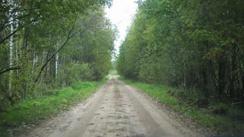 A dirt road in the forest. view from the car. the camera wobbles when passing Stock Footage 167930696