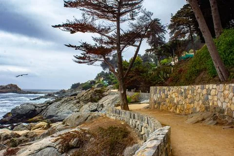 Dirt road in front of the coast, surrounded by stones and trees to climb a hill Stock Photos