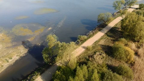 Dirt road with green trees Stock Footage 107330431