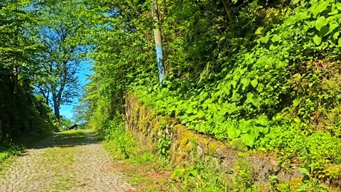 A dirt road that has. Stock Footage 282969281