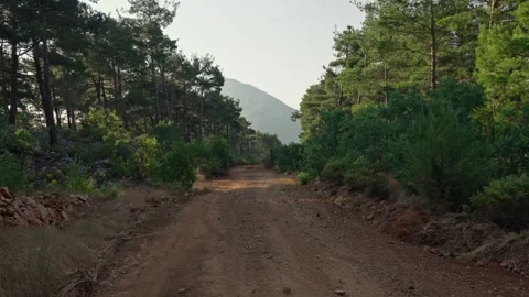 Dirt Road Landscape Stock Footage 339709149