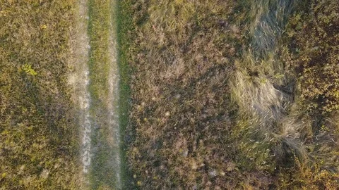 Dirt road on the lawn Stock Footage 81770698