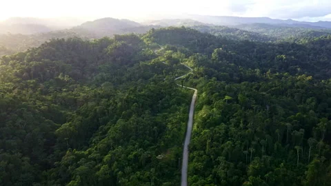 A dirt road in leading into the Amazon forest Stock Footage 196751112