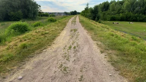 Dirt road leading through green field with people sunbathing  Stock Footage 338201411