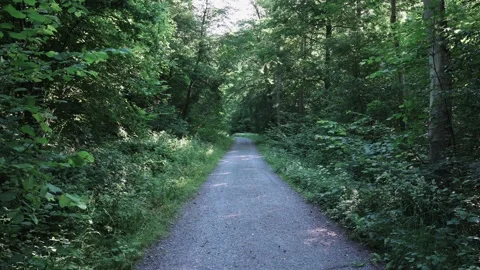 Dirt road that leads through a forest, meadows and vineyards Stock Footage 141881499