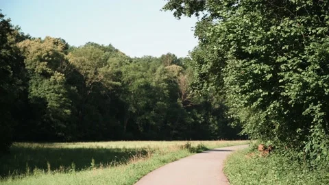 Dirt road that leads through a forest, meadows and vineyards Stock Footage 141885240
