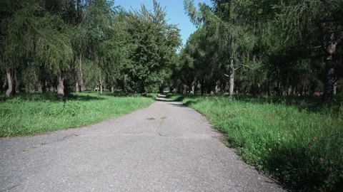 Dirt road that leads through a forest, meadows and vineyards Stock Footage 141886070
