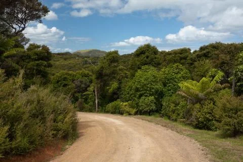 Dirt Road, Left Bend - Green lush trees and bushes along the road. Stock Photos