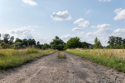 Dirt road in middle of thickets meadows and fields rural landscape Foto stock