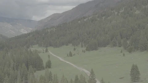 Dirt Road in Mountain Valley Stockbeeldmateriaal 248729158