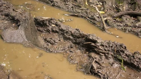 Dirt road, mud from off-roading. Tracks from SUVs, off-road driving, animation Stock-Footage 337005683