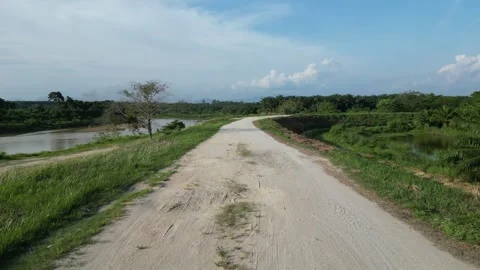 Dirt road next to a river Video stock 330760447