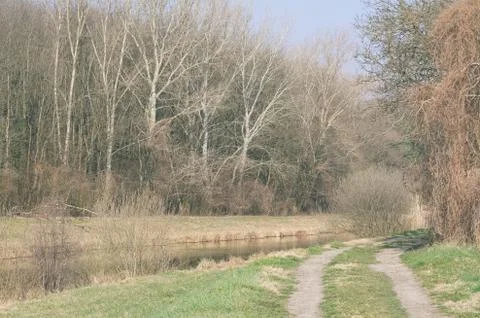 Dirt Road next to the River Stock Photos