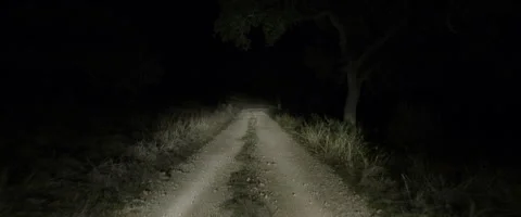Dirt road at night Stock Footage 278071504