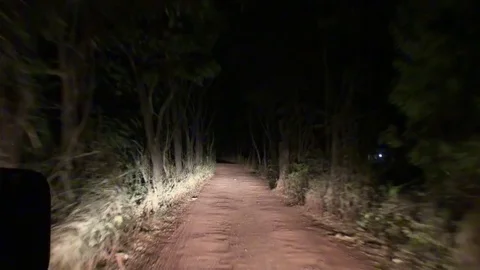 Dirt road at night under the light of headlights. Stock-Footage 74851819
