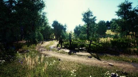 Dirt road or mud road in forest Stock Illustration