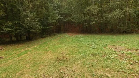 Dirt road over forest Stock Footage 55305373