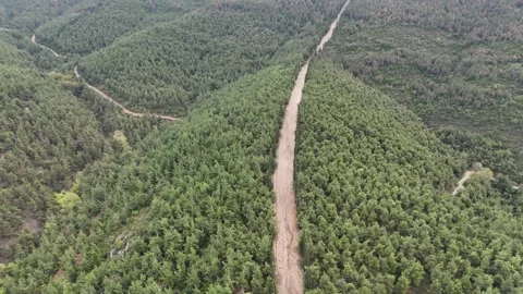 Dirt road over the pine tree forest in mountain peak. Stock Footage 289580375