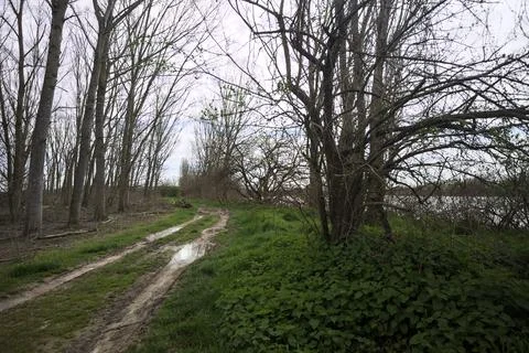 Dirt road in a park Stock Photos