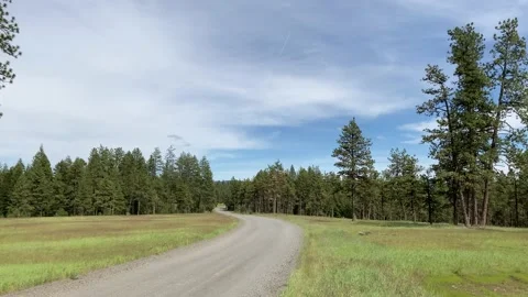 Dirt road passes through a meadow in Umatilla National Forest (4k) Stock Footage 133524515