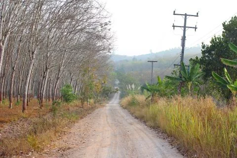 Dirt road. Stock Photos