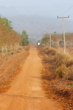 Dirt road. Stock Photos