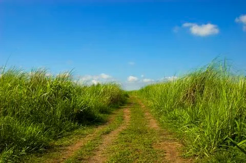 Dirt road Foto stock