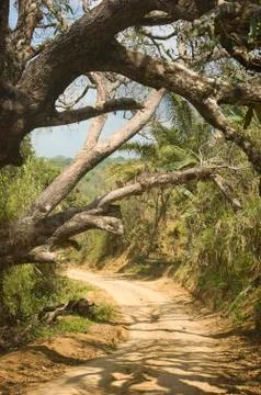 Dirt road Stock Photos