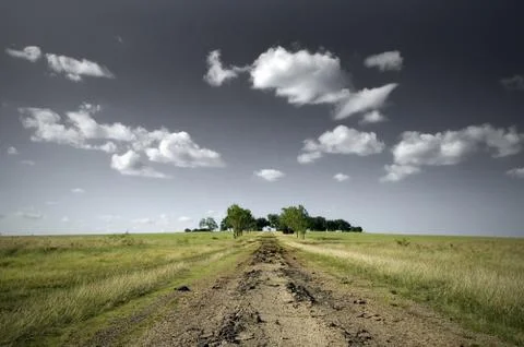 Dirt Road Stock Photos
