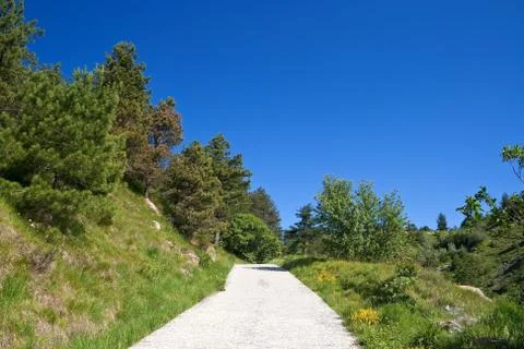 Dirt road Foto stock