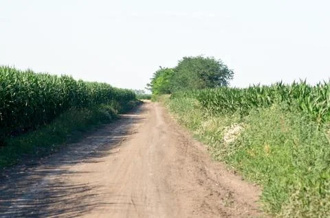 Dirt road Stock Photos