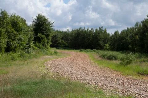 Dirt Road Stock Photos