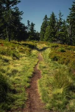 Dirt road Stock Photos