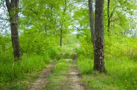 Dirt road Stock Photos