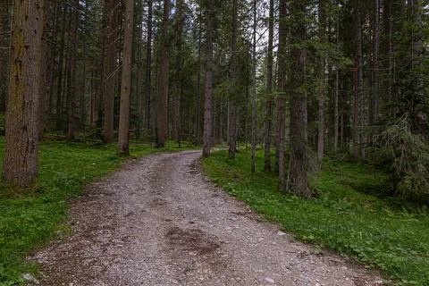 A dirt road Stock Photos
