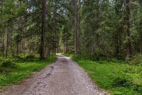 A dirt road 스톡 사진
