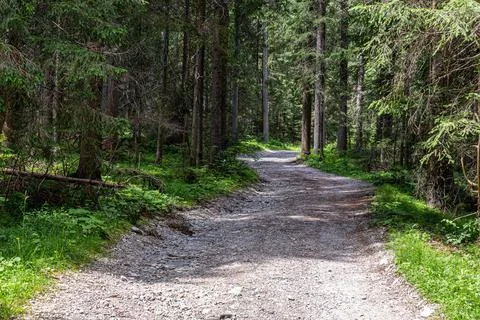 A dirt road Stock Photos