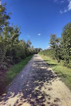 Dirt road Stock Photos