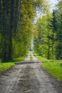 Dirt road Foto stock