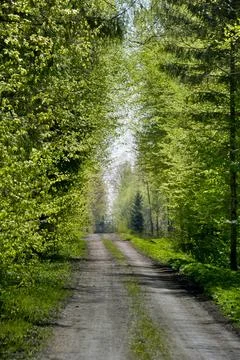 Dirt road Foto stock