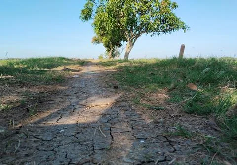 Dirt road 스톡 사진