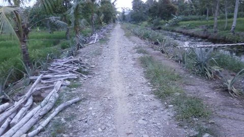 Dirt road 写真素材
