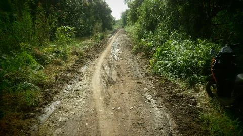 Dirt road 写真素材