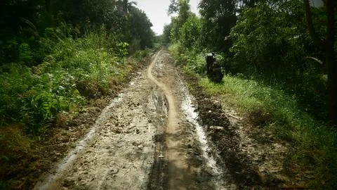Dirt road 写真素材