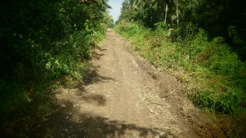 Dirt road 写真素材