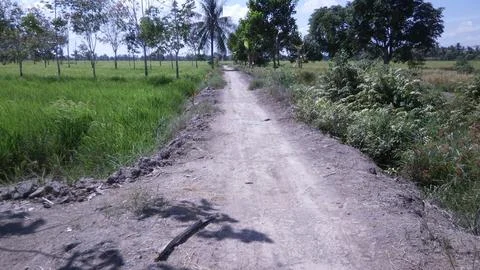 Dirt road Stock Photos