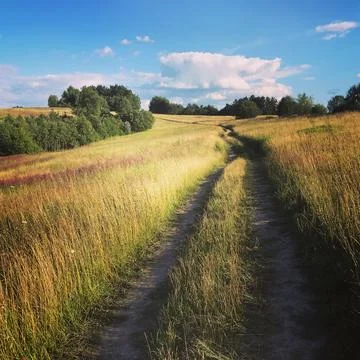 A dirt road. Stock Photos