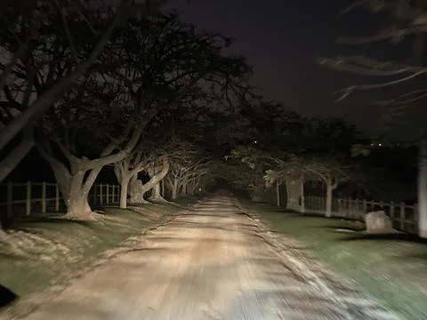 Dirt road Stock Photos